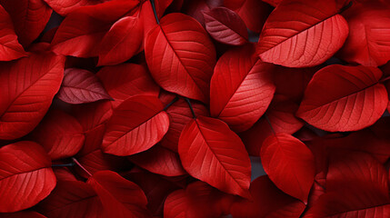 Red leaves background.