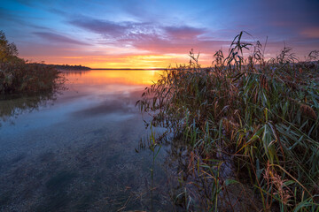 Clear Calm Lake with Reeds at Sunrise