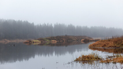 Beautiful autumn landscape with foggy lake and forest in the background