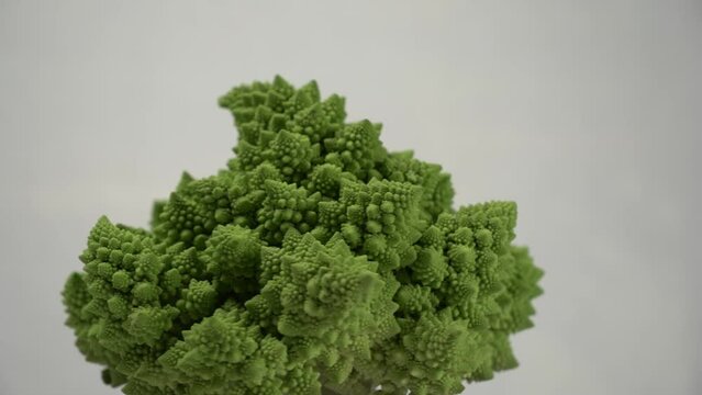 Broccolo romano che gira su sfondo bianco
