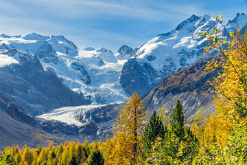 Fototapeta premium Herbststimmung am Morteratschgletscher, Pontresina, Engadin, Graubünden, Schweiz 