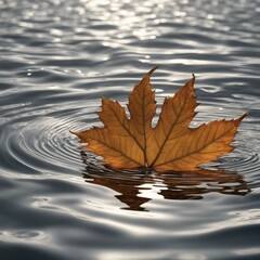 autumn leaves on water