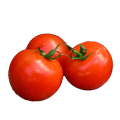 tomatoes isolated on tra background
