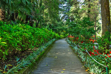 pathway at the Road Company garden Mussourie, Uttarakhand
