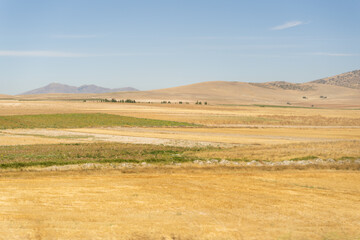 Fototapeta na wymiar Hills and mountains on a barren, scorched grassland. Clear blue sky overhead.