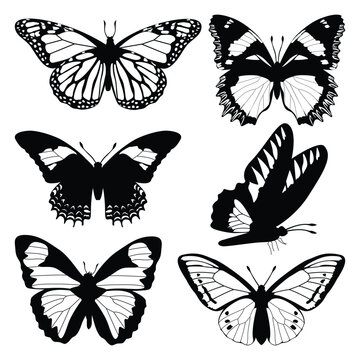 monochrome Butterfly Silhouettes Vector