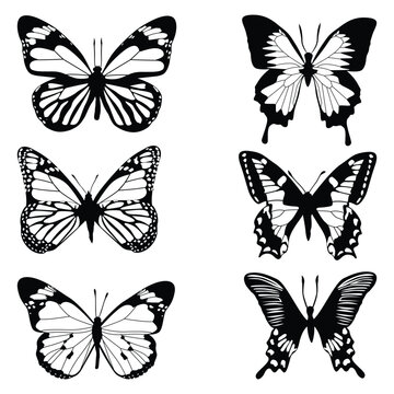 monochrome Butterfly Silhouettes Vector