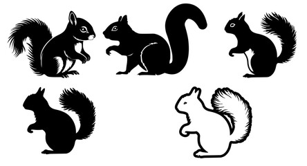 Eichhörnchen - obrazy, fototapety, plakaty