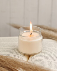 VELA EM CENARIO DELICADO LIVRO