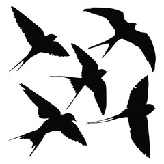 Bird Swallow Silhouettes Vector illustration