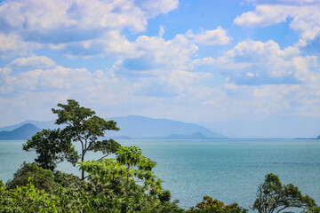 Obraz premium Top view of jungle, beautiful turquoise sea on tropical island. Concept of travel, relaxation, vacation.