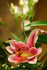 Close-up of a bouquet of flowers, including stargazer lilies, roses and gypsophila.