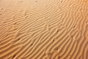 wind-formed marks on loose desert sand