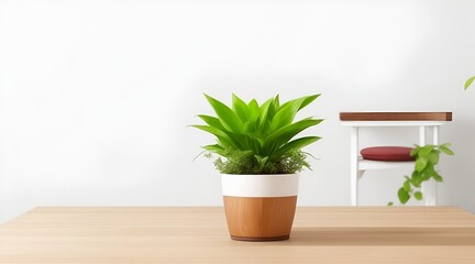 Wooden table, Complemented by a vibrant potted plant blurred white background. Beautiful versatile backdrop for design and product presentation