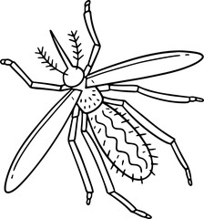 mosquito illustration.