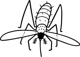 mosquito illustration.