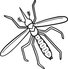 mosquito illustration.