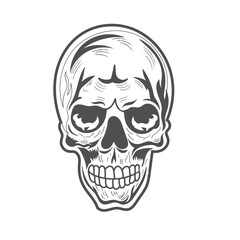 hand drawn skull vector, skull silhouette ,Human skull illustration.