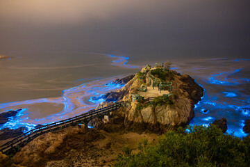 Blue tears Noctiluca scintillans. Photographed in Matsu, Taiwan