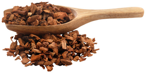 Alpinia galanga or Aromatic ginger