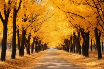 Foto op Canvas Capture the quiet moments of autumn beautifully. The scene takes place in a park or forest path. The floor was covered with a carpet of yellow leaves. © Attasit