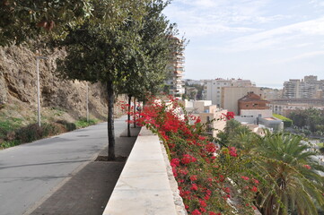 Obraz premium Malaga, tourist city on the coast of Spain, Costa del Sol, 