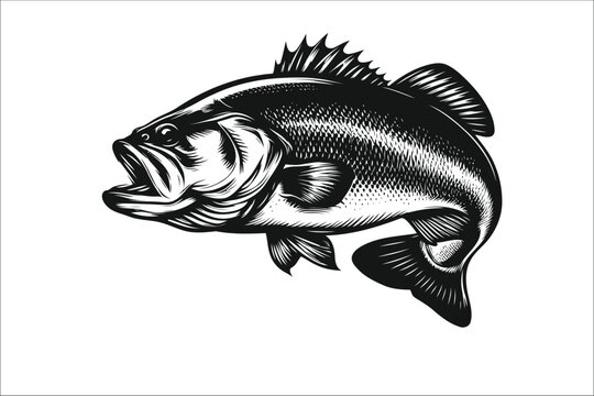 Epic Bass Quest: High-Quality Vector Art for Fishing Enthusiasts