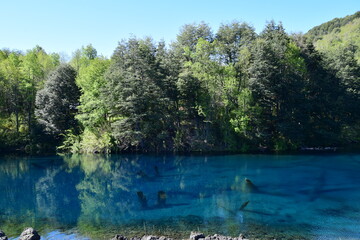 National Park Conguillio in Chile: a paradise of lagoons, araucarias, and volcanoes.

