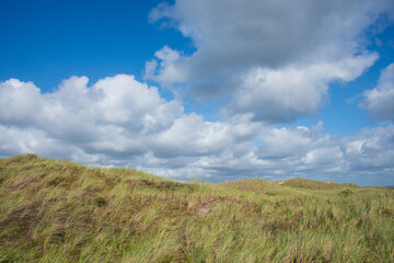 wunderbar ruhige Landschaft mit sanften D&uuml;nen, dichtem Strandhafer und weichen Wattewolken