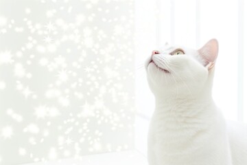 Close-up of cute cat gazing at something with beautiful bokeh background