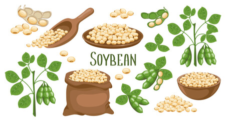 Set of soybeans.  soybeans in pods, in a canvas bag, bowl and wooden spoon. Food, agriculture. Illustration, vector