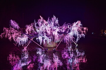 イルミネーション　広島　備北丘陵公園