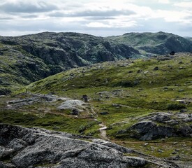 Landscape of green polar rocky tundra. Northern nature of Teriberka
