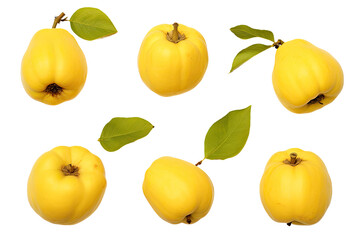 a collection of quince isolated on a transparent background, generative ai - obrazy, fototapety, plakaty