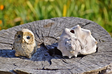 広島　福山　やぶ椿と水仙の里