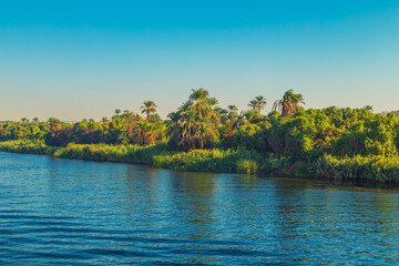Picturesque scenery of the Nile River at dawn.