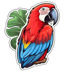 illustration of macaw