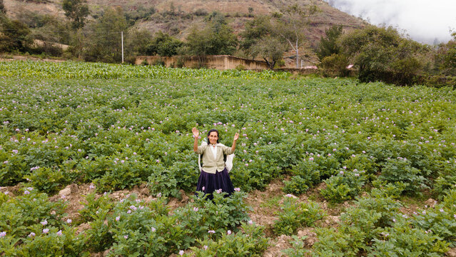 Foto de una feliz campesina cauc&aacute;sica parado en medio de sembr&iacute;o de papas en Per&uacute; ,campesina con un tejido de manta artesan&iacute;a peruana en la chacra,estilo de vida