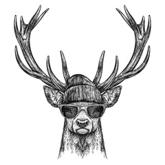Vintage engraving isolated deer glasses dressed fashion set illustration ink sketch. Northern reindeer background stag silhouette sunglasses hipster hat art. Black and white hand drawn image © Turaev
