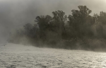 brume matinale le long d'un cours d'eau avec les berges recouvertes d'arbres en automne.