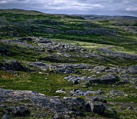 Fototapeta na wymiar Gloomy landscape of polar tundra. Northern nature of Teriberka, Kola Peninsula