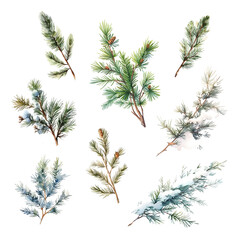 Set of fir and pine branches with snow on transparent background - 679230289