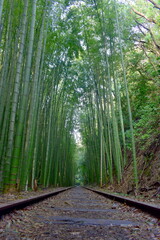 Obraz premium 鳥取 旧国鉄倉吉線廃線跡