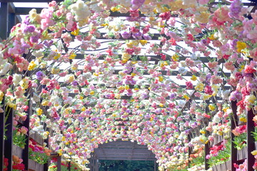 チューリップ　日本庭園　島根　由志園