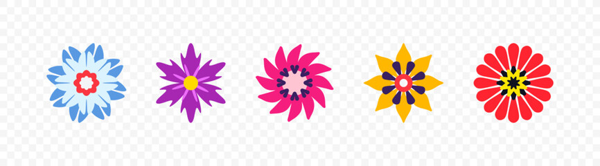 Set of different beautiful vector flowers on transparent background. Colorful spring flowers graphic design - obrazy, fototapety, plakaty