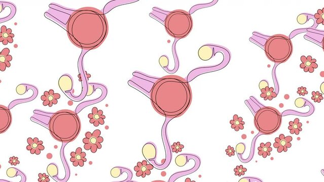 Rotating cartoon uteruses on a white screen. Animation with the concept of women's health. Looped background in 4K with space for text.