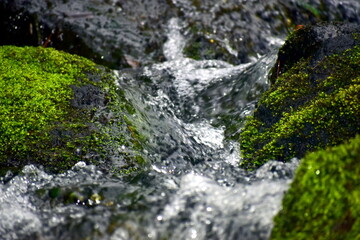 島根　日本庭園　由志園
