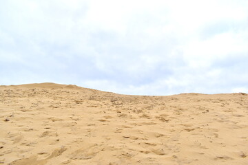 Fototapeta premium 鳥取砂丘 鳥取 砂丘 日本海