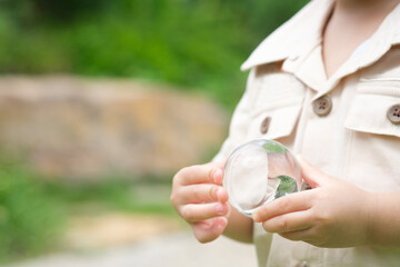 baby hand holding crystal ball a healthy ecology to a new generation. Healthy ecology of the planet...