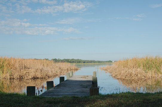 View west wood dock on Lake Shore Park in St. Petersburg, FL on a sunny day looking west across brown sea oats marsh with blue water, blue sky and ducks.